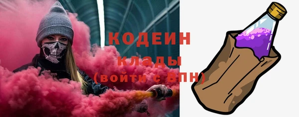 трава Ельня