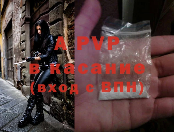 стаф Елизово