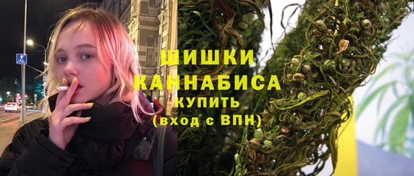 трава Ельня