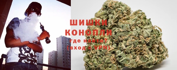 стаф Елизово