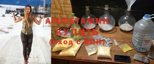 стаф Елизово