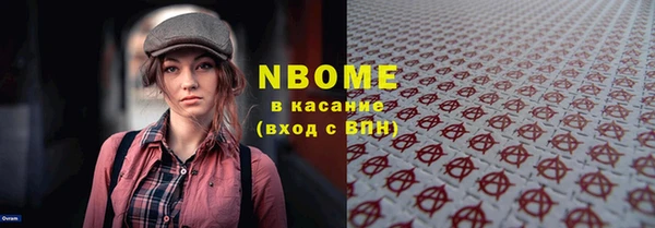 трава Ельня