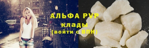 трава Ельня