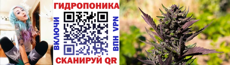Бошки марихуана THC 21% Купить закладки Калязин